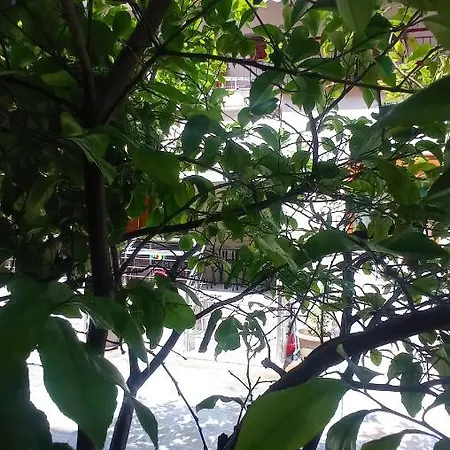 Ethra Luxury Apartment Asprovalta