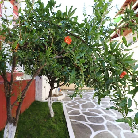 Ethra Luxury Apartment Asprovalta