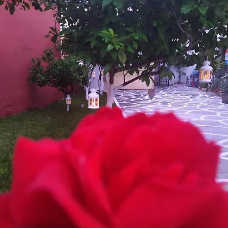 Ethra Luxury Apartament *